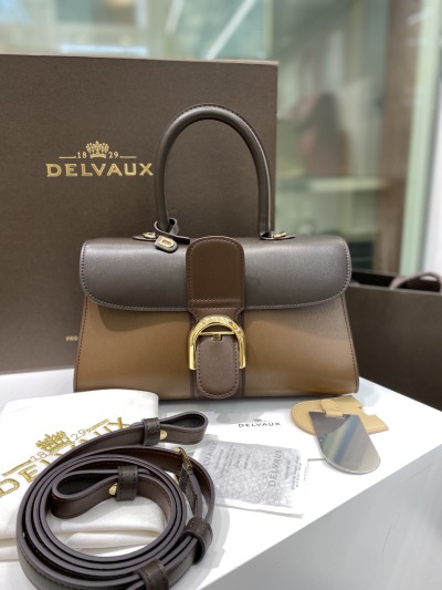 Сумка Delvaux Brillant Box двухцветная