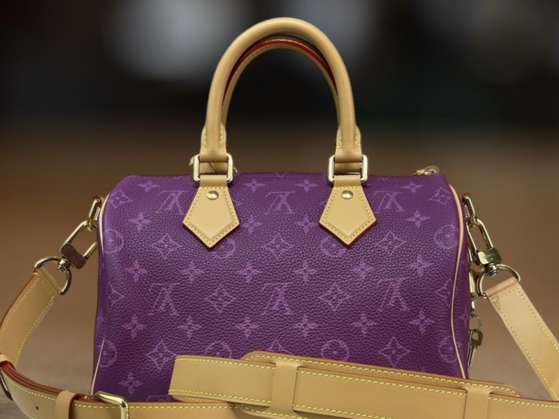 Сумка Louis Vuitton Speedy 25 с монограммой