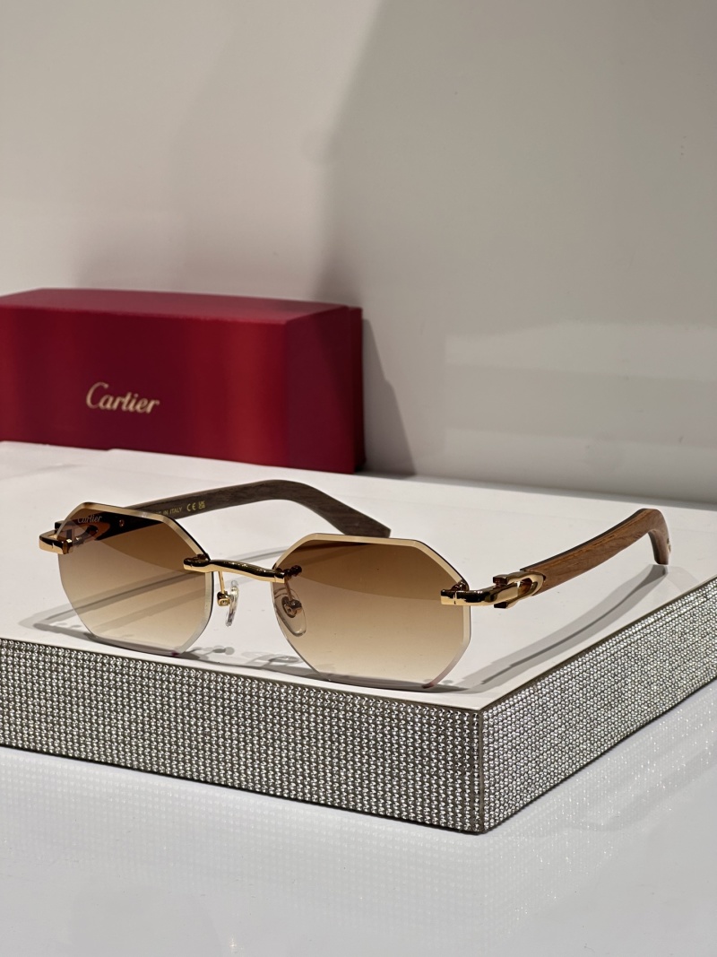 Очки Cartier CT0439S