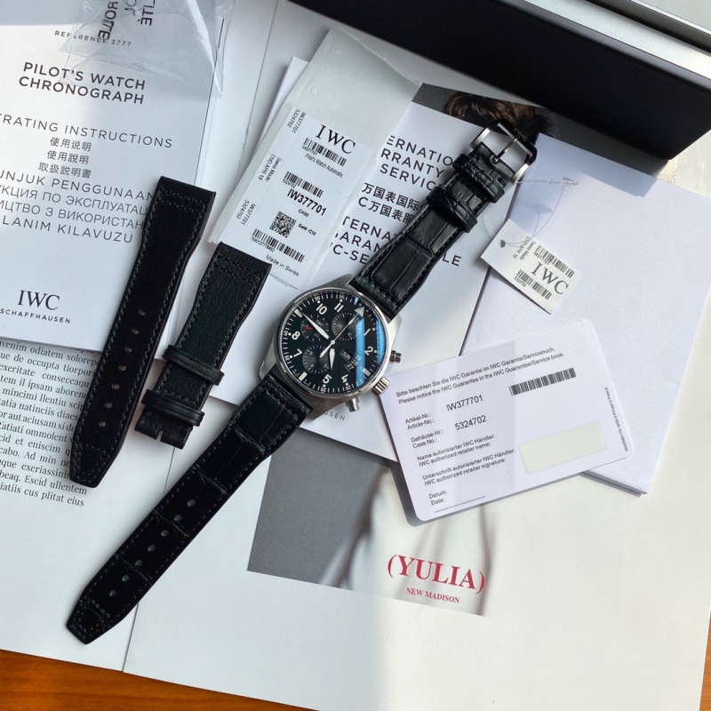 Часы IWC