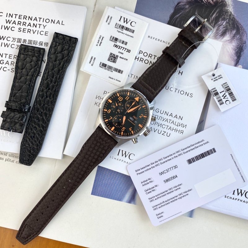 Часы IWC