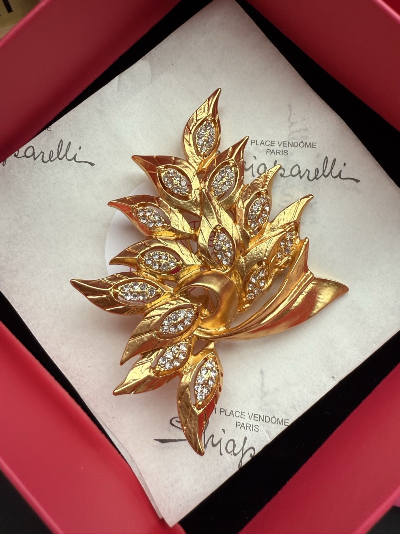 Брошь Schiaparelli