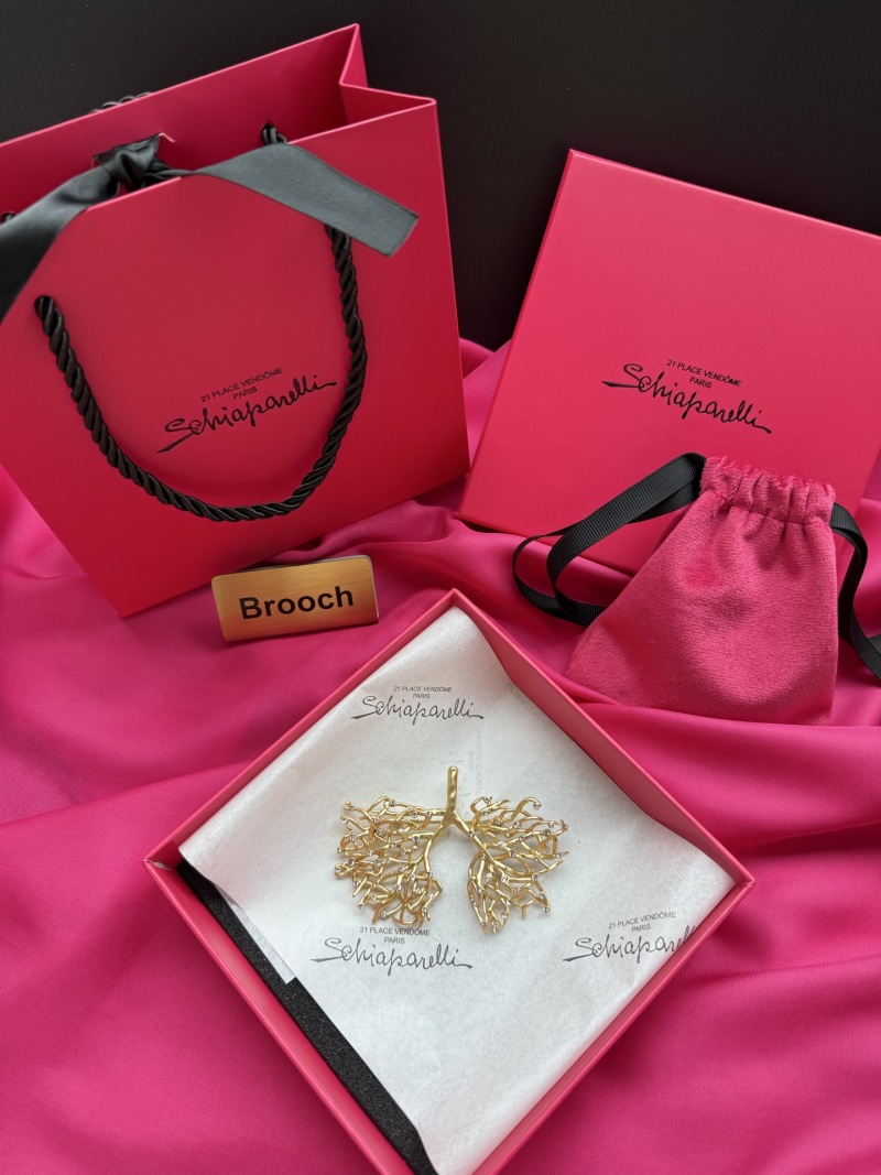 Брошь Schiaparelli