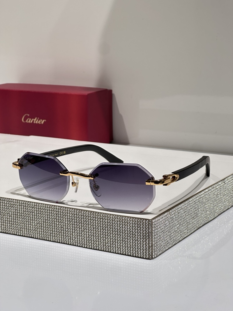 Очки Cartier CT0439S