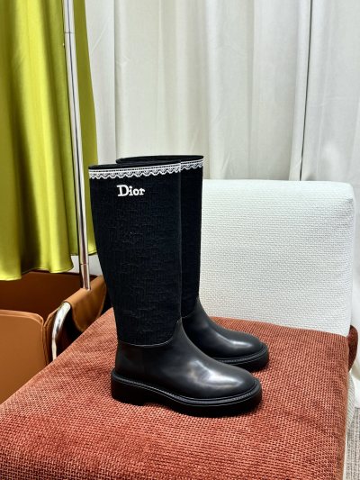 Сапоги Dior