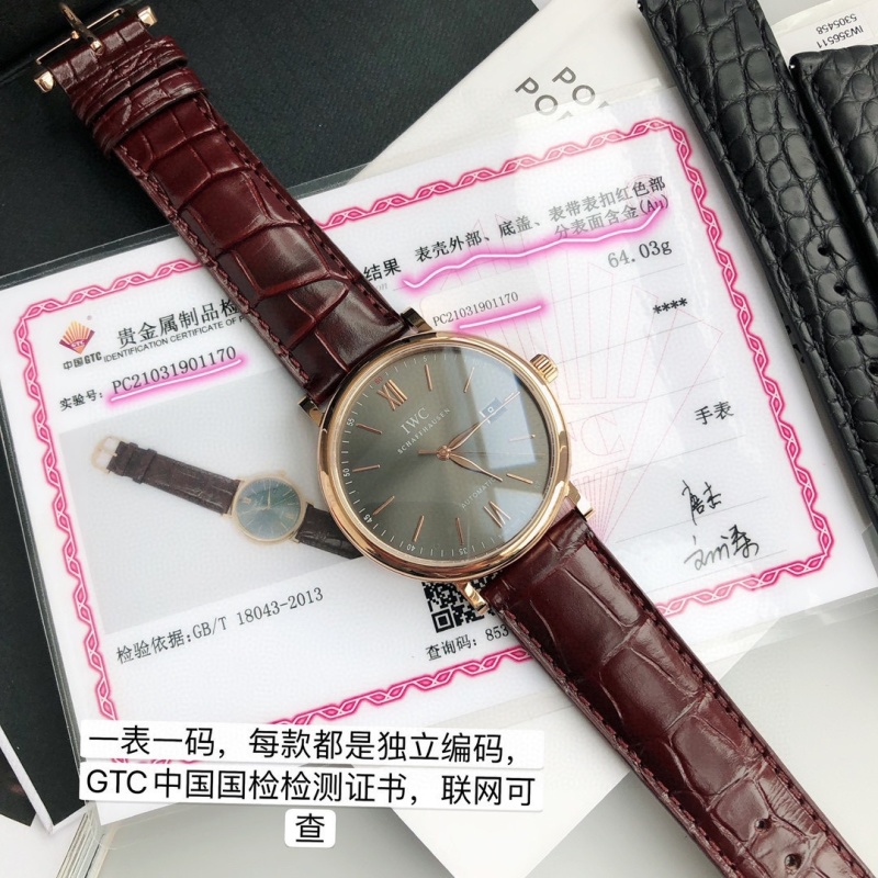Часы IWC
