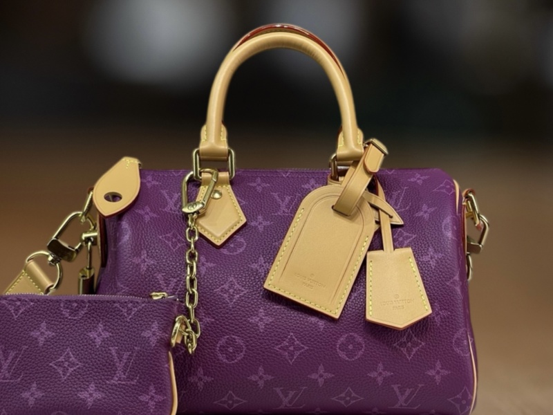 Сумка Louis Vuitton Speedy 25 с монограммой