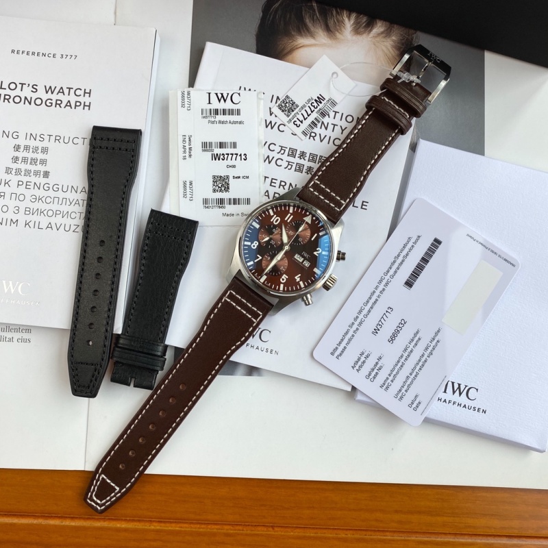 Часы IWC