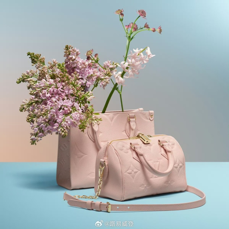 Сумка Louis Vuitton Speedy 20 с монограммой