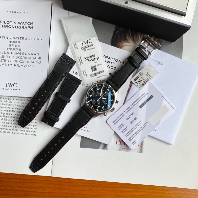 Часы IWC