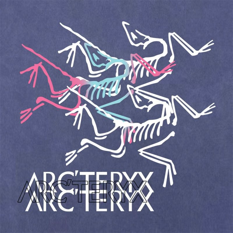 Футболка Arcteryx с принтом скелета Arc'teryx