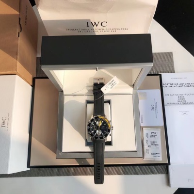 Часы IWC