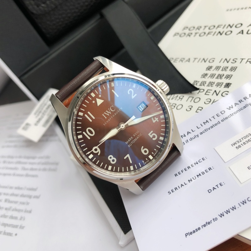 Часы IWC