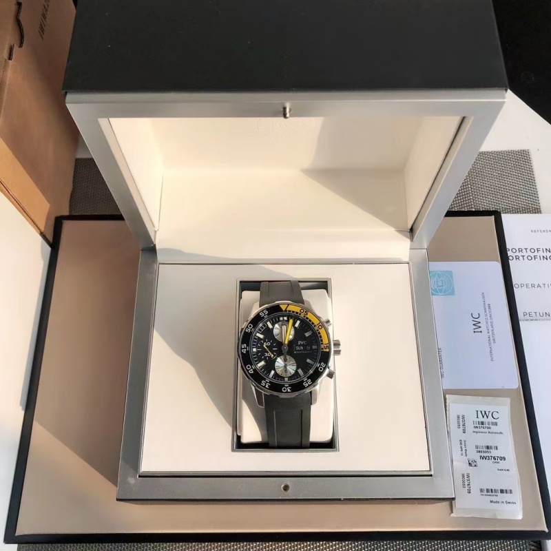 Часы IWC
