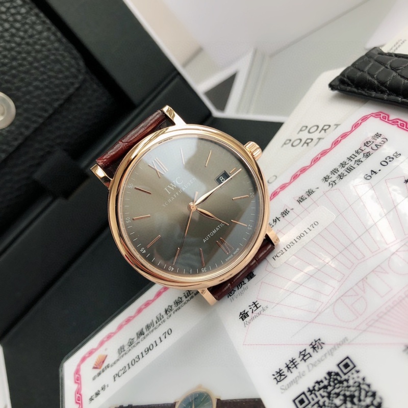 Часы IWC