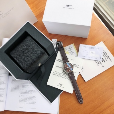 Часы IWC