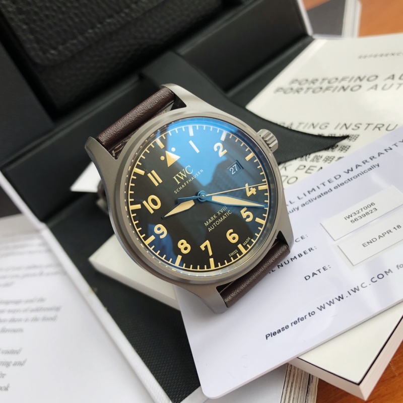 Часы IWC