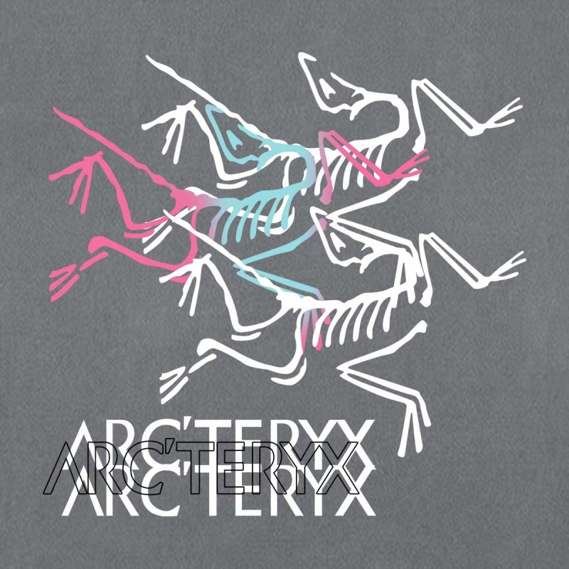 Футболка Arc'teryx