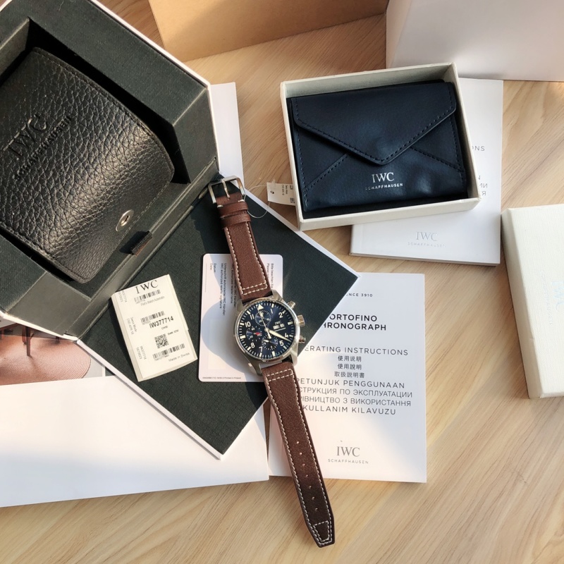 Часы IWC