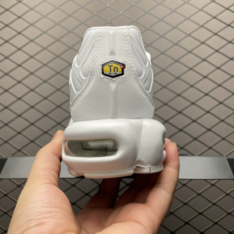Кроссовки Nike Air Max Plus TN